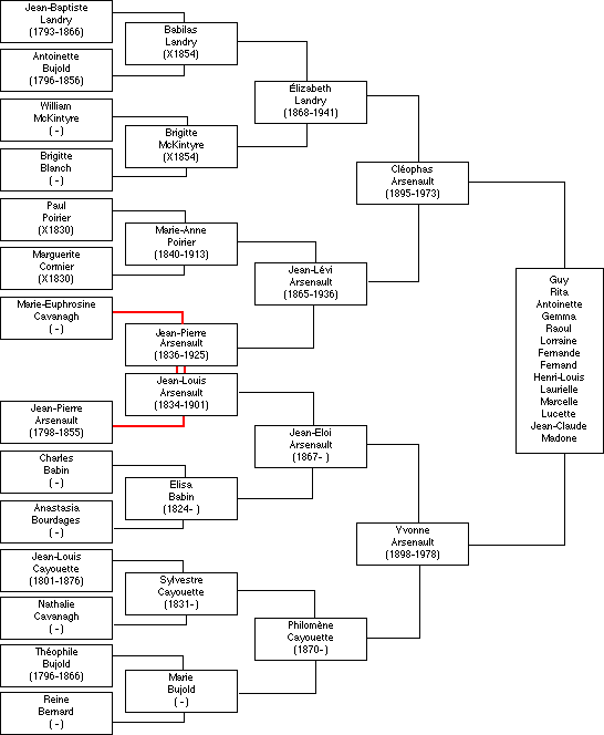 Arbre genealogique 1