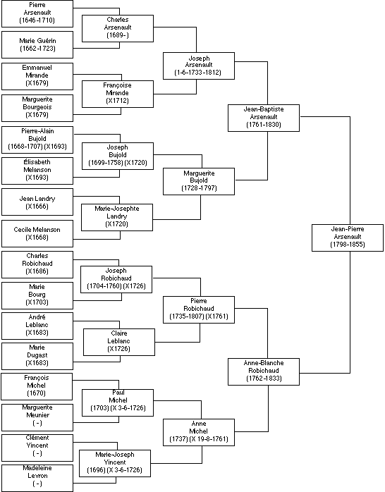 Arbre Genealogique 2